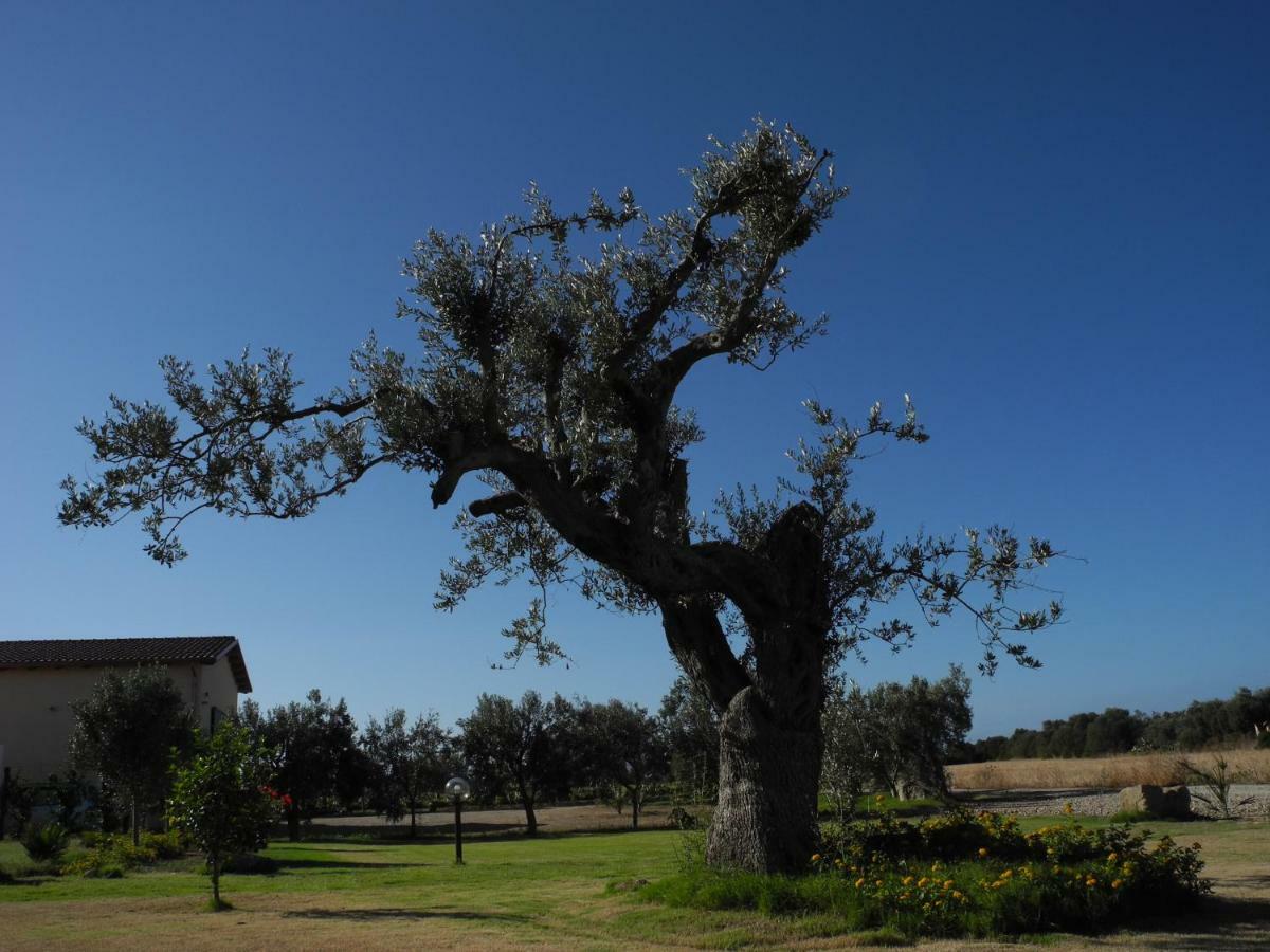 Agriturismo Is Solinas Masainas Luaran gambar